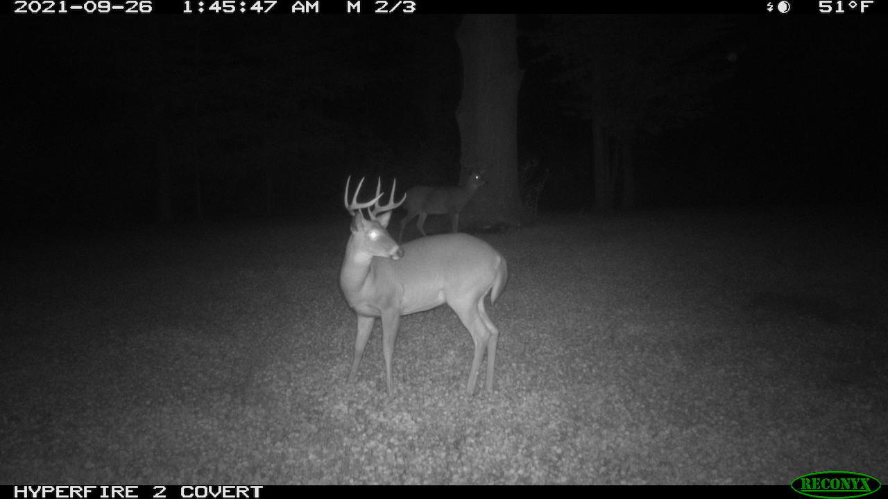 11060 Nolan Road Gladwin, MI 48624 - Photo 191 of 224 RCNX0782