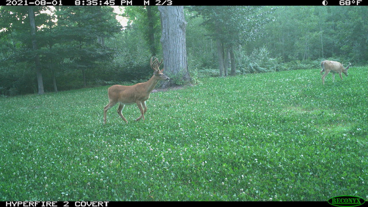 11060 Nolan Road Gladwin, MI 48624 - Photo 192 of 224 RCNX0791