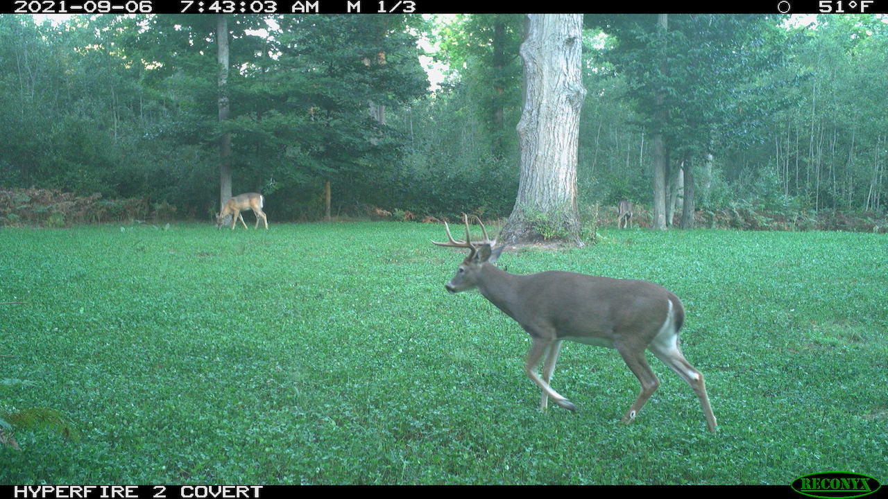 11060 Nolan Road Gladwin, MI 48624 - Photo 193 of 224 RCNX0808
