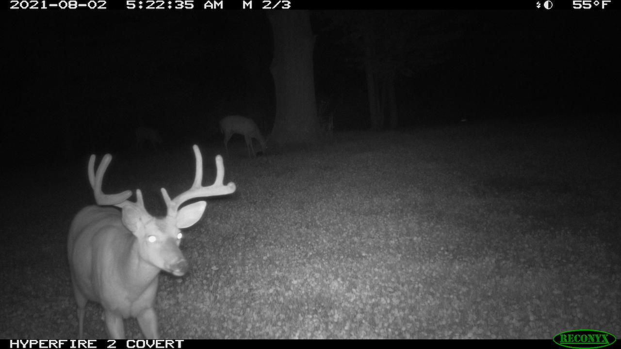 11060 Nolan Road Gladwin, MI 48624 - Photo 201 of 224 RCNX2012
