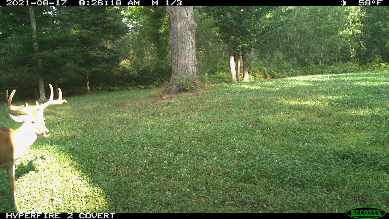 11060 Nolan Road Gladwin, MI 48624 - Photo 203 of 224 RCNX2020