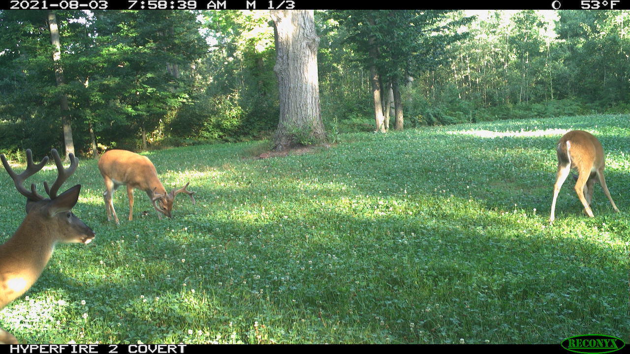 11060 Nolan Road Gladwin, MI 48624 - Photo 204 of 224 RCNX2215