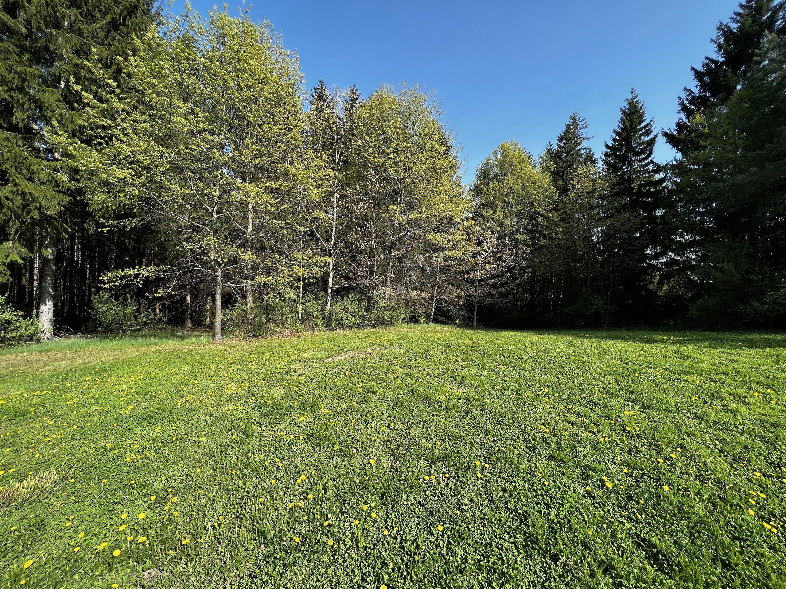 11060 Nolan Road Gladwin, MI 48624 - Photo 23 of 224 IMG_1049