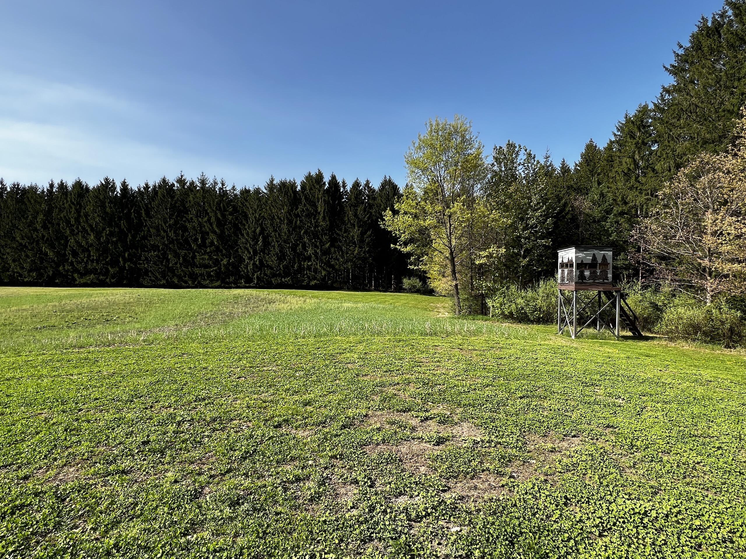 11060 Nolan Road Gladwin, MI 48624 - Photo 25 of 224 IMG_1051