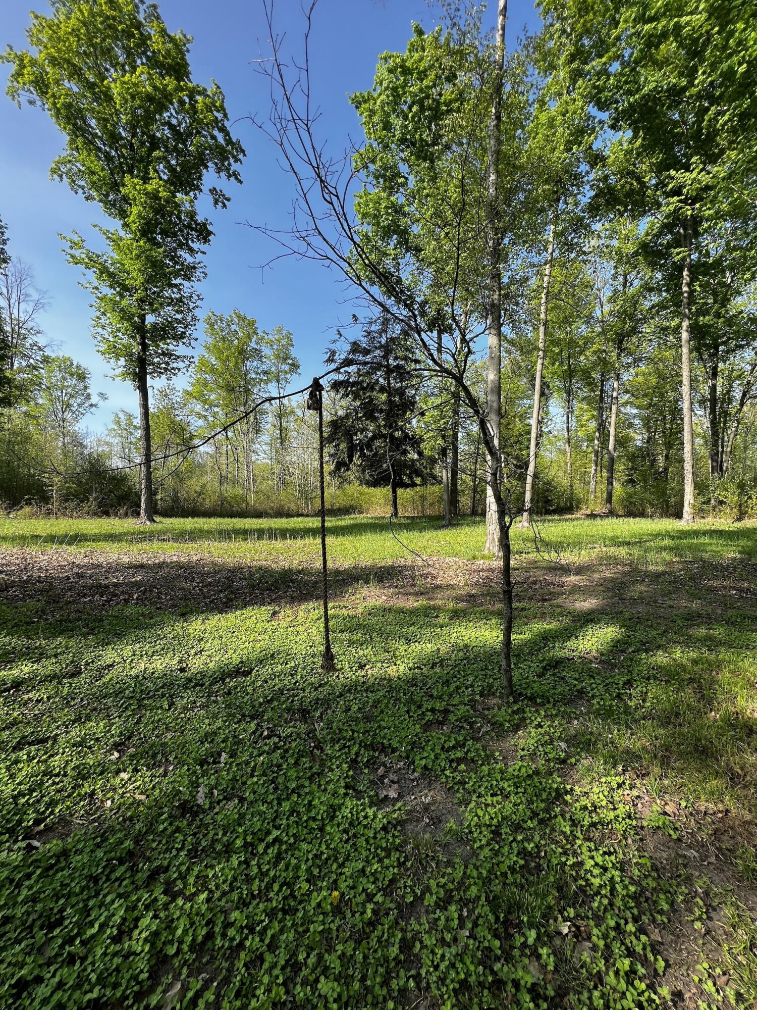 11060 Nolan Road Gladwin, MI 48624 - Photo 37 of 224 IMG_1063