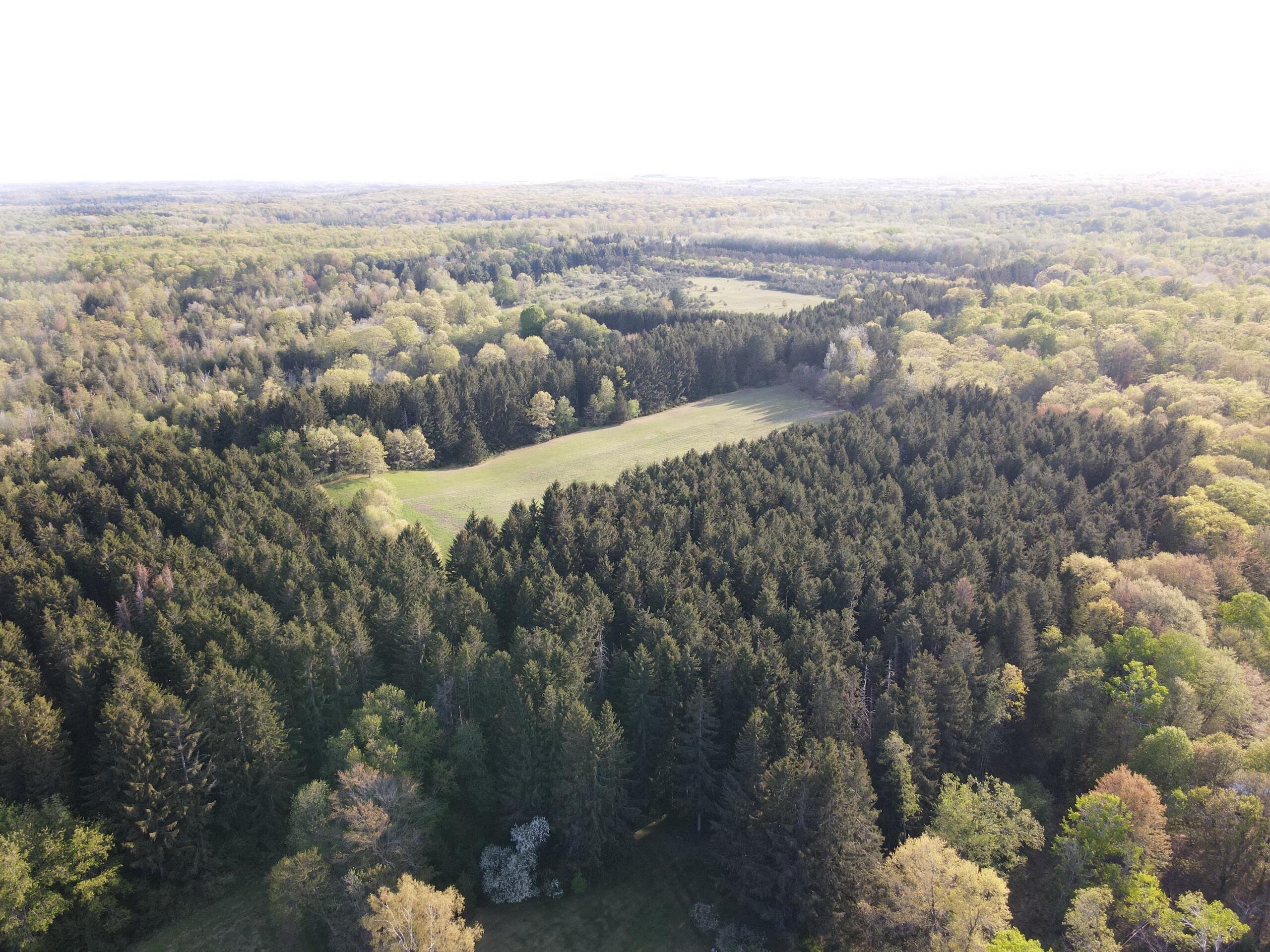 11060 Nolan Road Gladwin, MI 48624 - Photo 4 of 224 DJI_0589