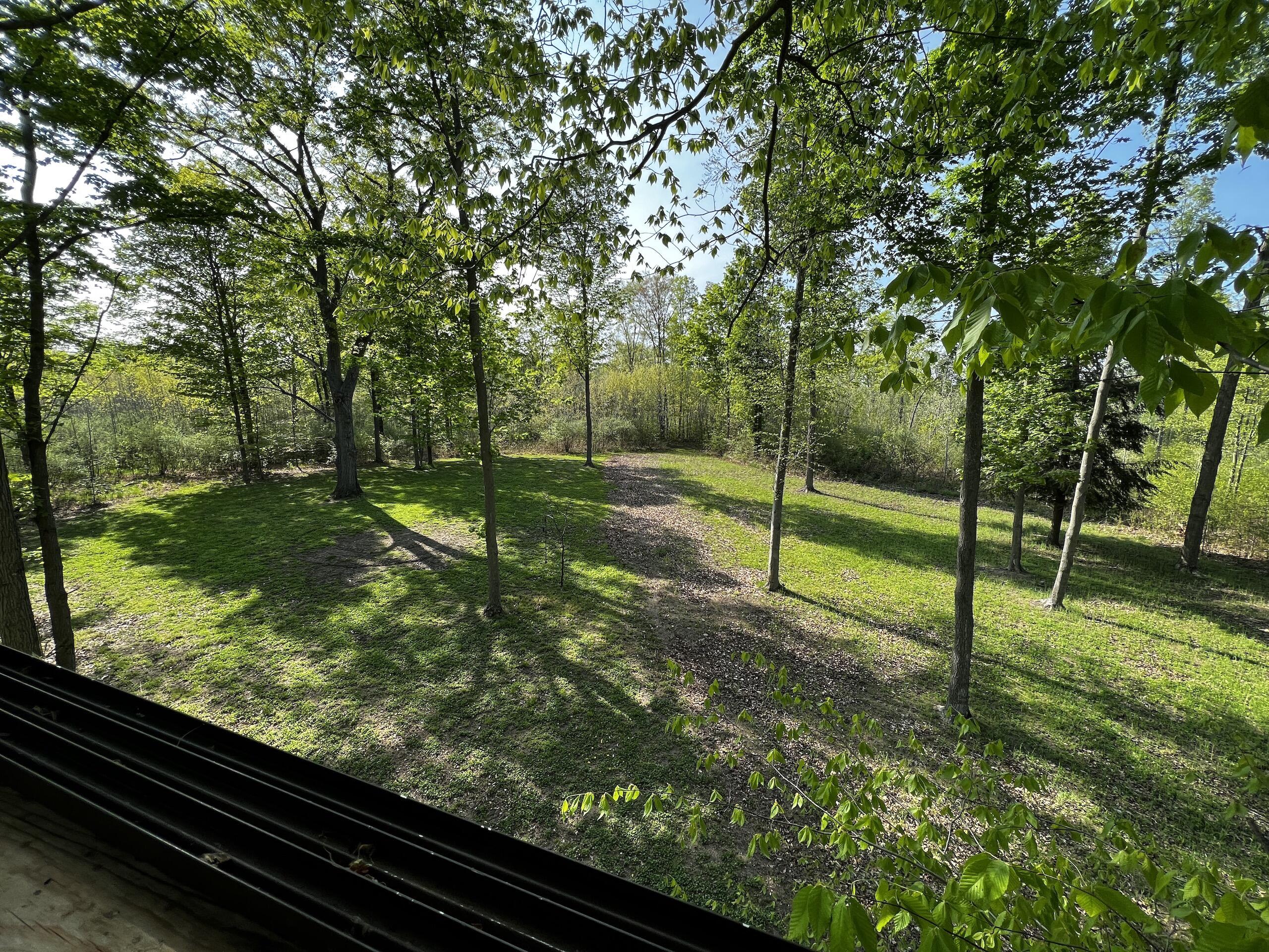 11060 Nolan Road Gladwin, MI 48624 - Photo 41 of 224 IMG_1067
