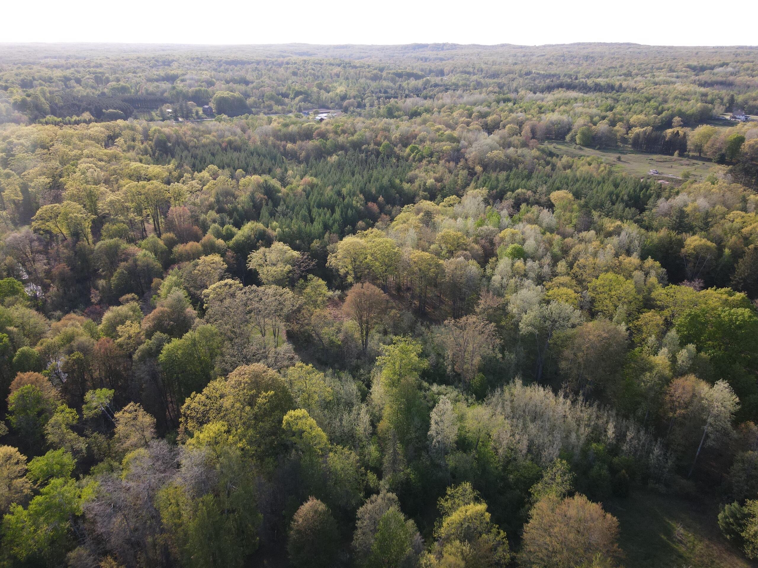11060 Nolan Road Gladwin, MI 48624 - Photo 5 of 224 DJI_0590