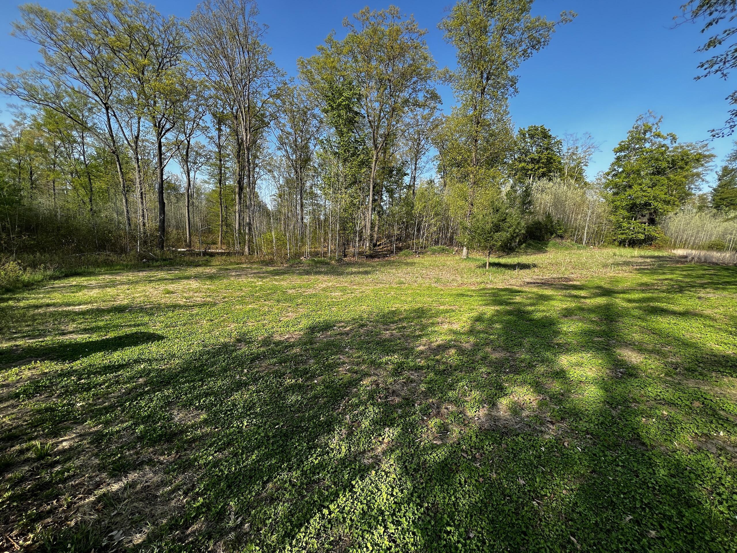 11060 Nolan Road Gladwin, MI 48624 - Photo 58 of 224 IMG_1088