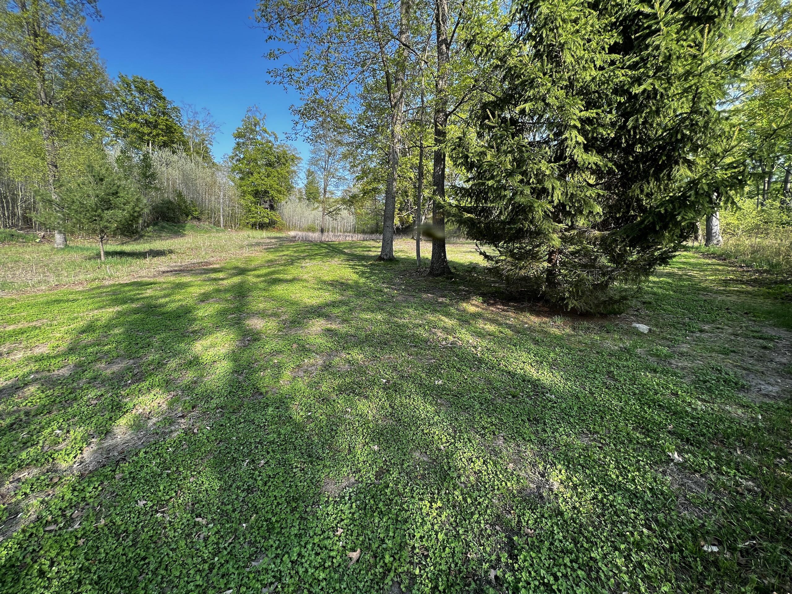11060 Nolan Road Gladwin, MI 48624 - Photo 59 of 224 IMG_1089