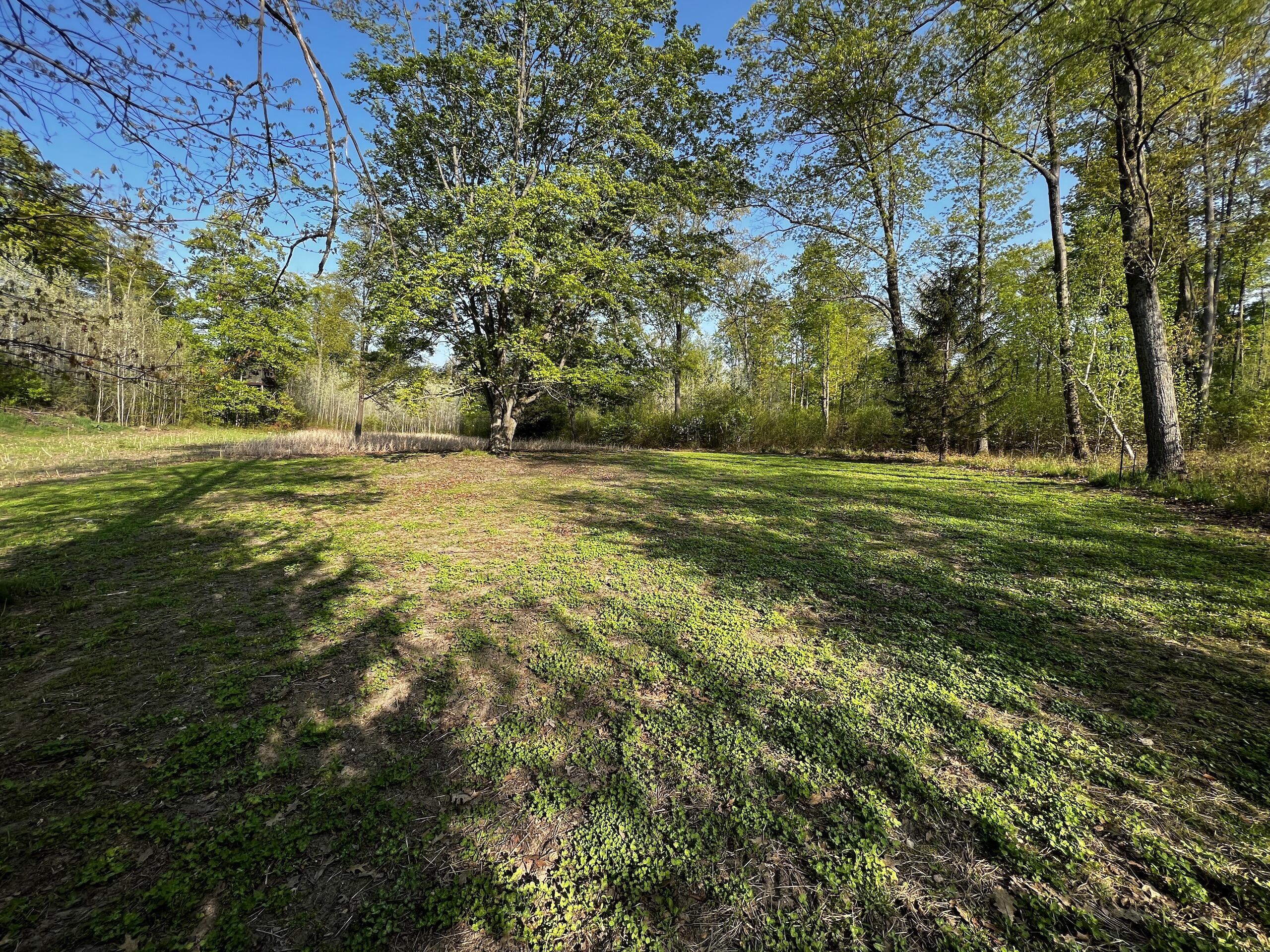 11060 Nolan Road Gladwin, MI 48624 - Photo 60 of 224 IMG_1090