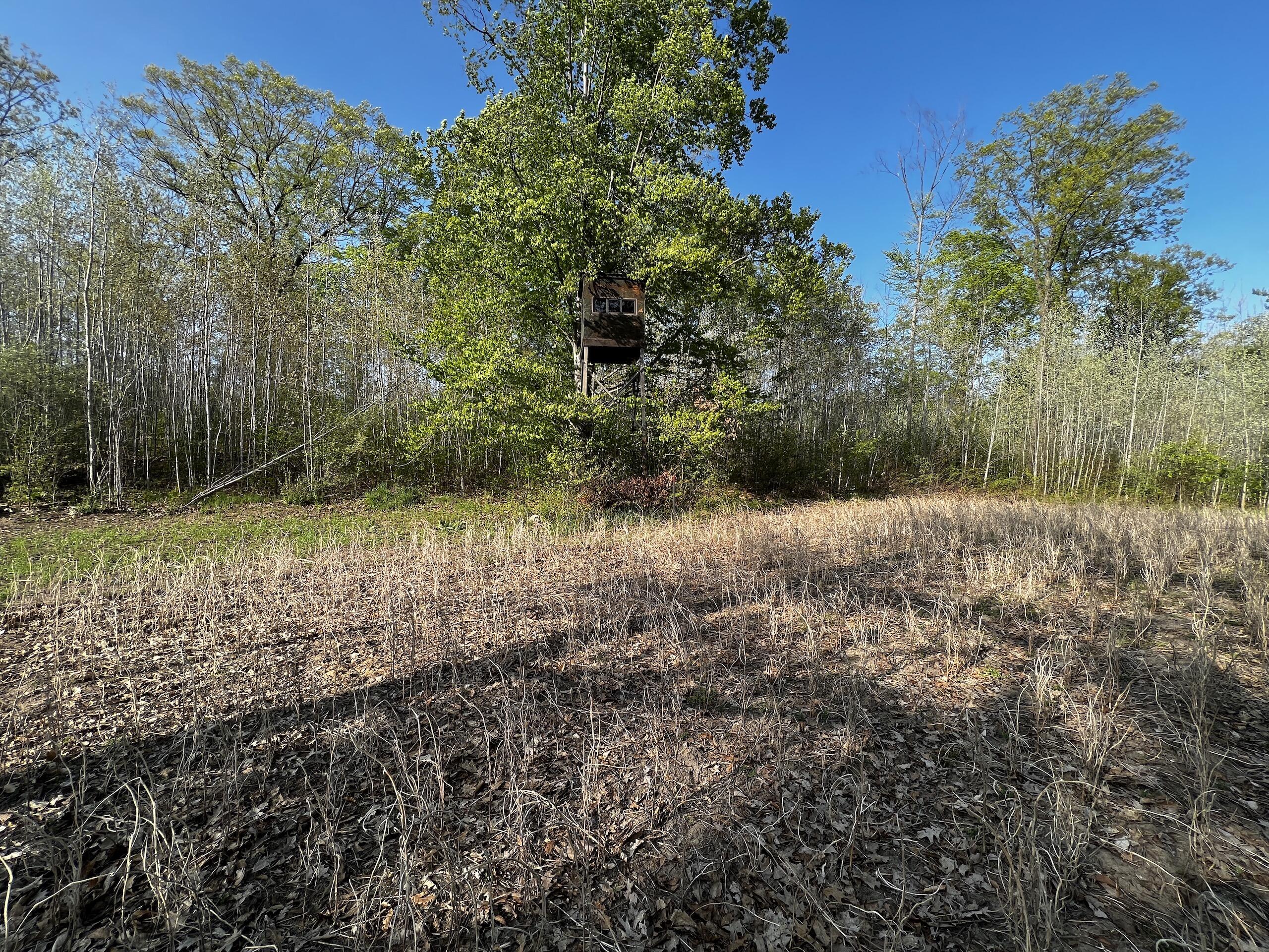 11060 Nolan Road Gladwin, MI 48624 - Photo 62 of 224 IMG_1093