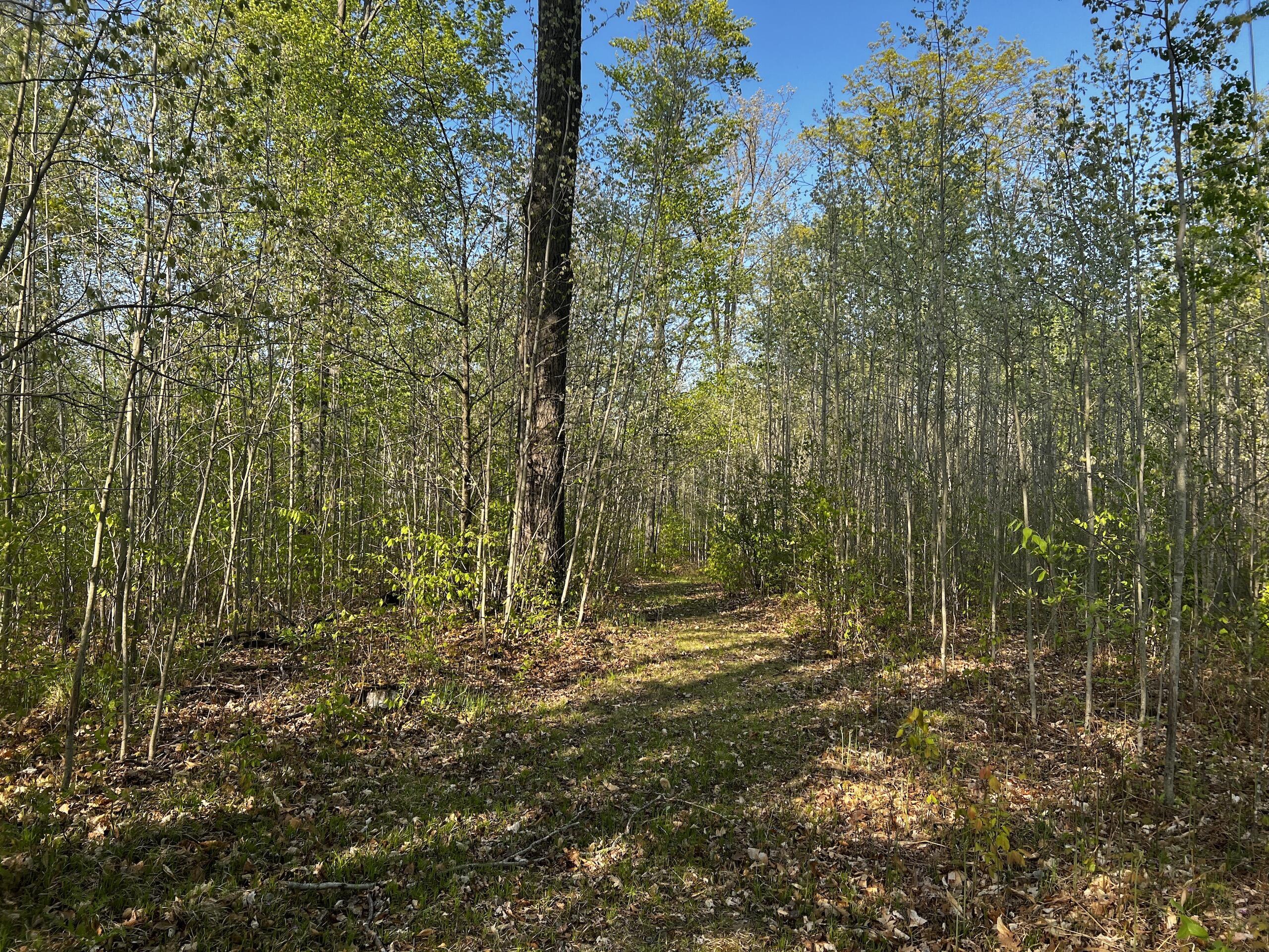 11060 Nolan Road Gladwin, MI 48624 - Photo 65 of 224 IMG_1097