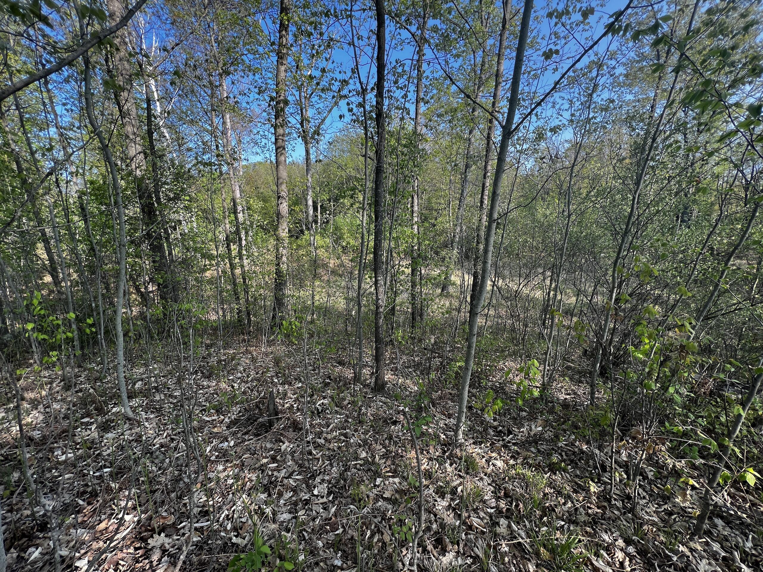 11060 Nolan Road Gladwin, MI 48624 - Photo 68 of 224 IMG_1102