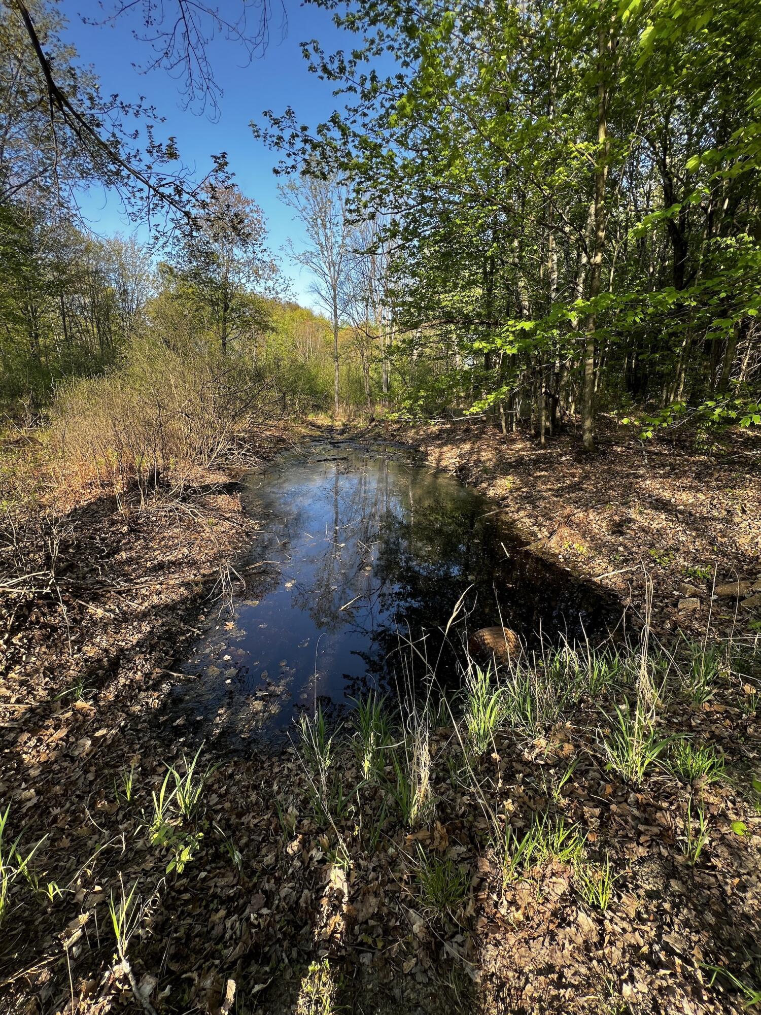 11060 Nolan Road Gladwin, MI 48624 - Photo 79 of 224 IMG_1117