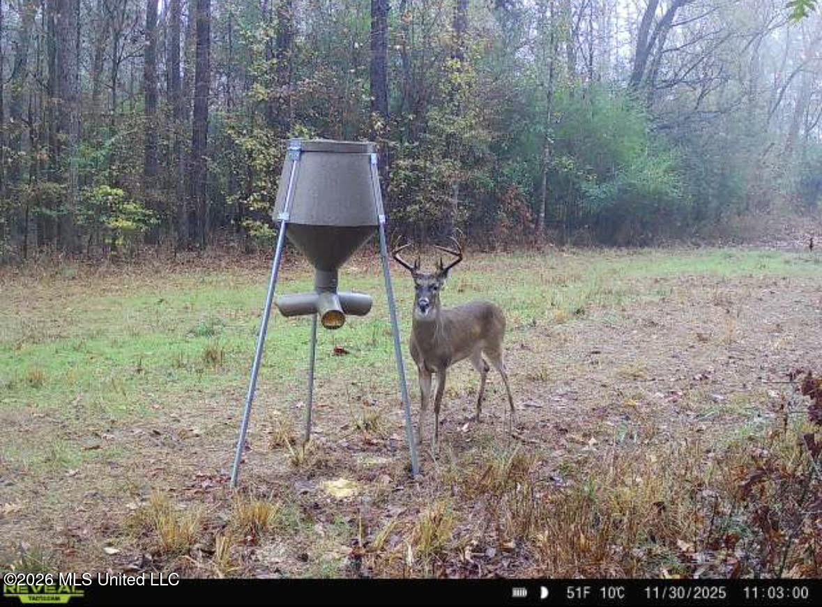 1 Dry Grove Road Terry, MS 39170 - Photo 24 of 30 692