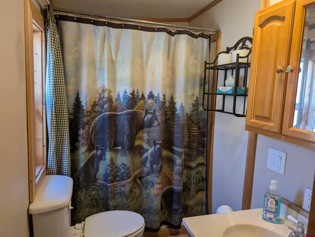 a bathroom with a toilet and a shower curtain