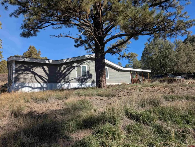 a house with trees in the background