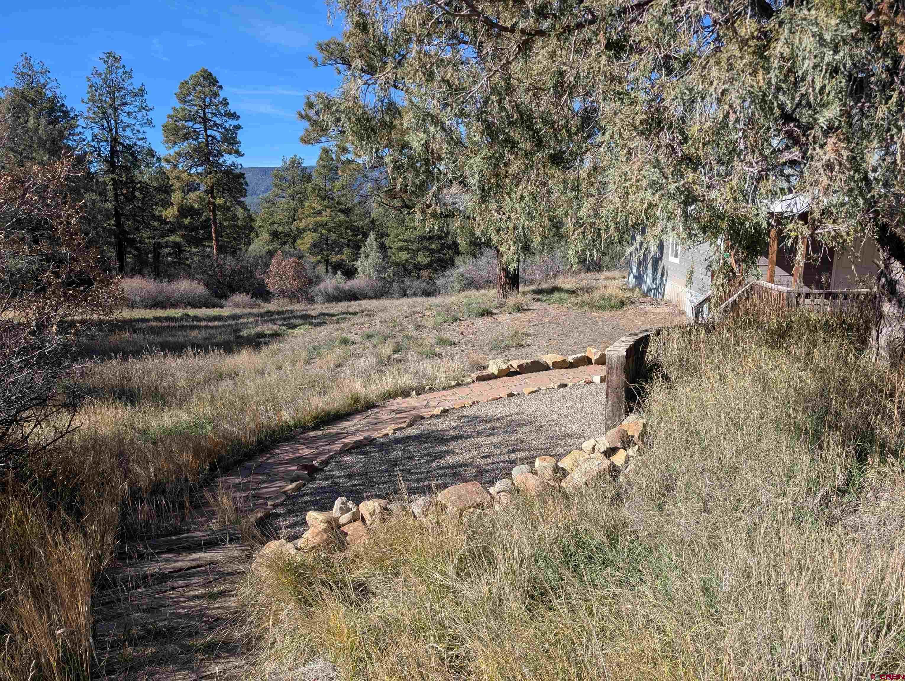 472 Haystack Circle Pagosa Springs, CO 81147 - Photo 31 of 31 a view of a dry forest with trees in the background