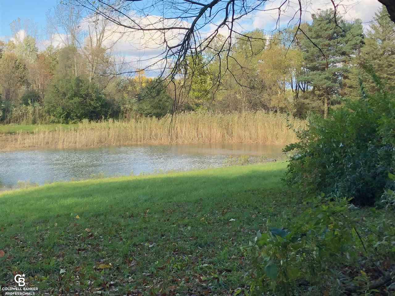 8655 Cork Road Yale, MI 48097 - Photo 45 of 50 Gallery Image 45