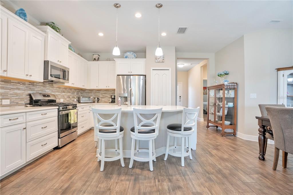 13541 Circa Crossing Drive Lithia, FL 33547 - Photo 15 of 52 a kitchen with stainless steel appliances a dining table chairs and wooden floor