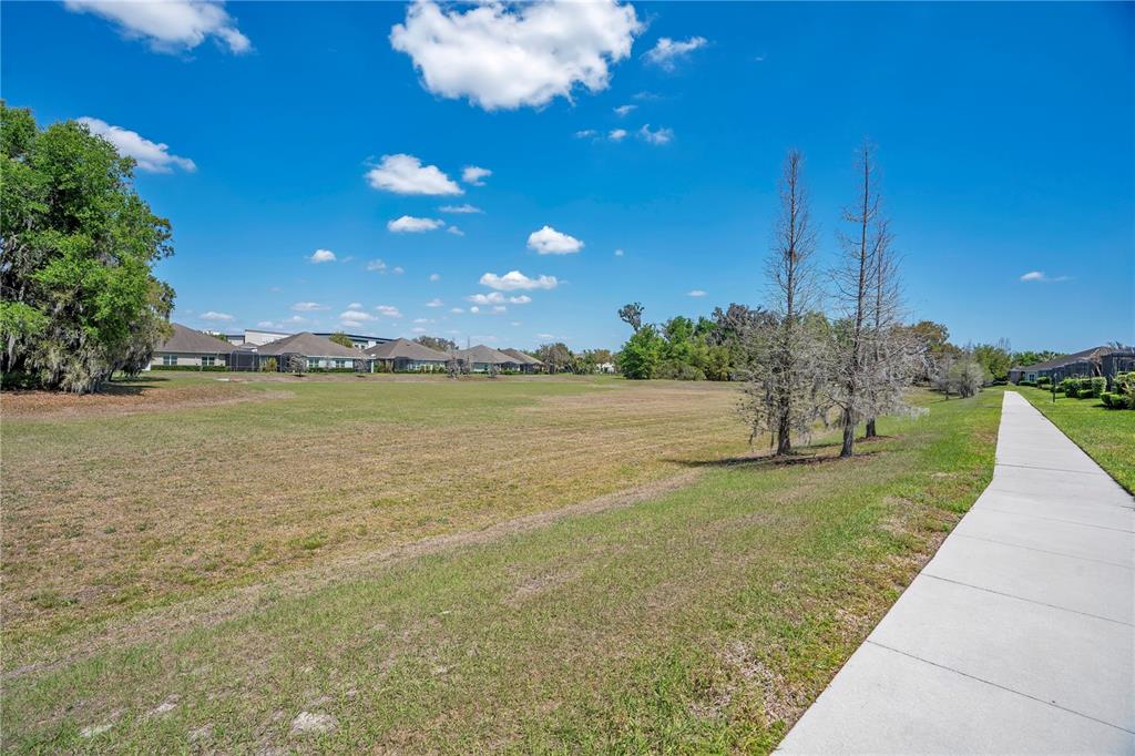 13541 Circa Crossing Drive Lithia, FL 33547 - Photo 49 of 52 a view of a lake with a big yard