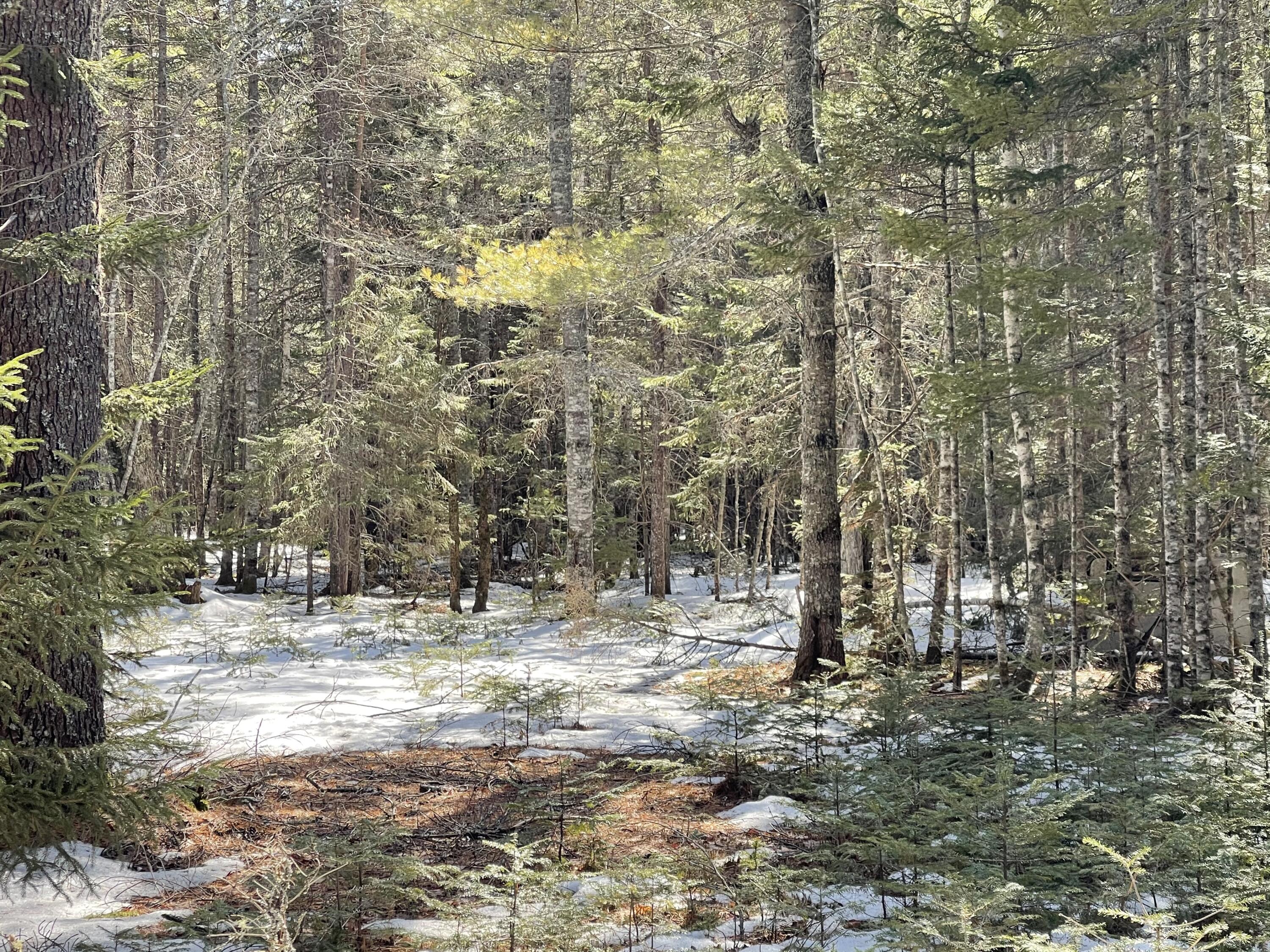 63-64 Kettle Ridge Northfield, ME 04654 - Photo 15 of 19 IMG-0792