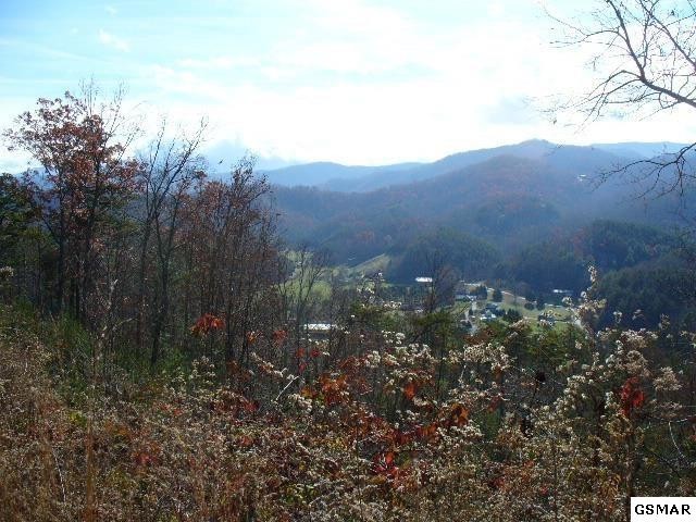 54 Little Cove Road Sevierville, TN 37862 - Photo 1 of 1