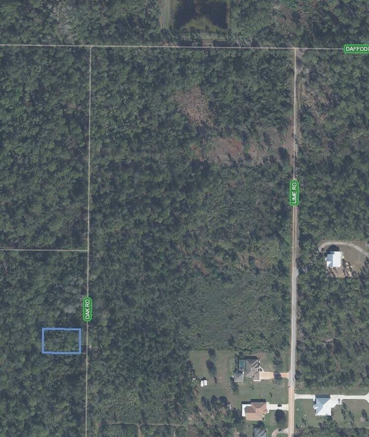4919 Oak Road Sebring, FL 33875 - Photo 3 of 4 4919 OAK RD 3