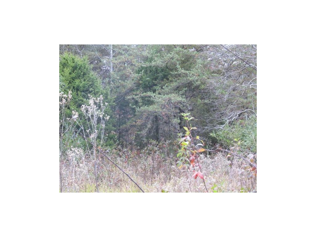 34-ac Chestnut Ridge Road Sneedville, TN 37869 - Photo 1 of 12 Photo 1