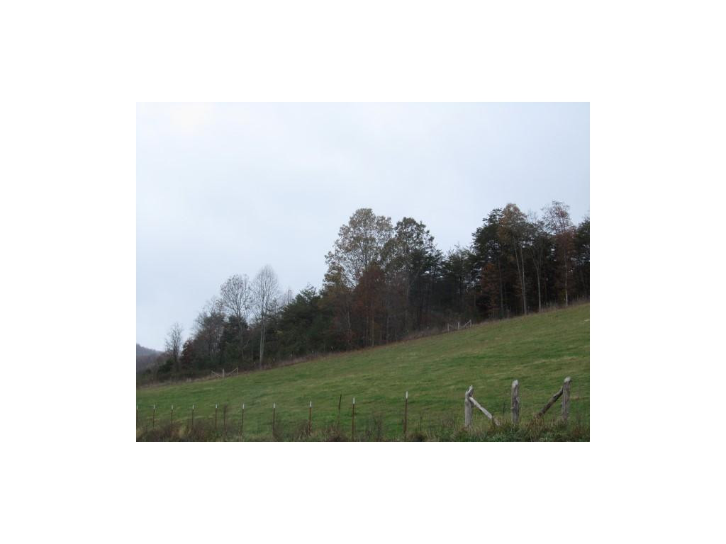 34-ac Chestnut Ridge Road Sneedville, TN 37869 - Photo 11 of 12 Photo 11