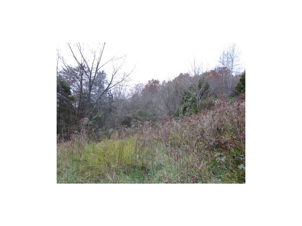 34-ac Chestnut Ridge Road Sneedville, TN 37869 - Photo 3 of 12 Photo 3