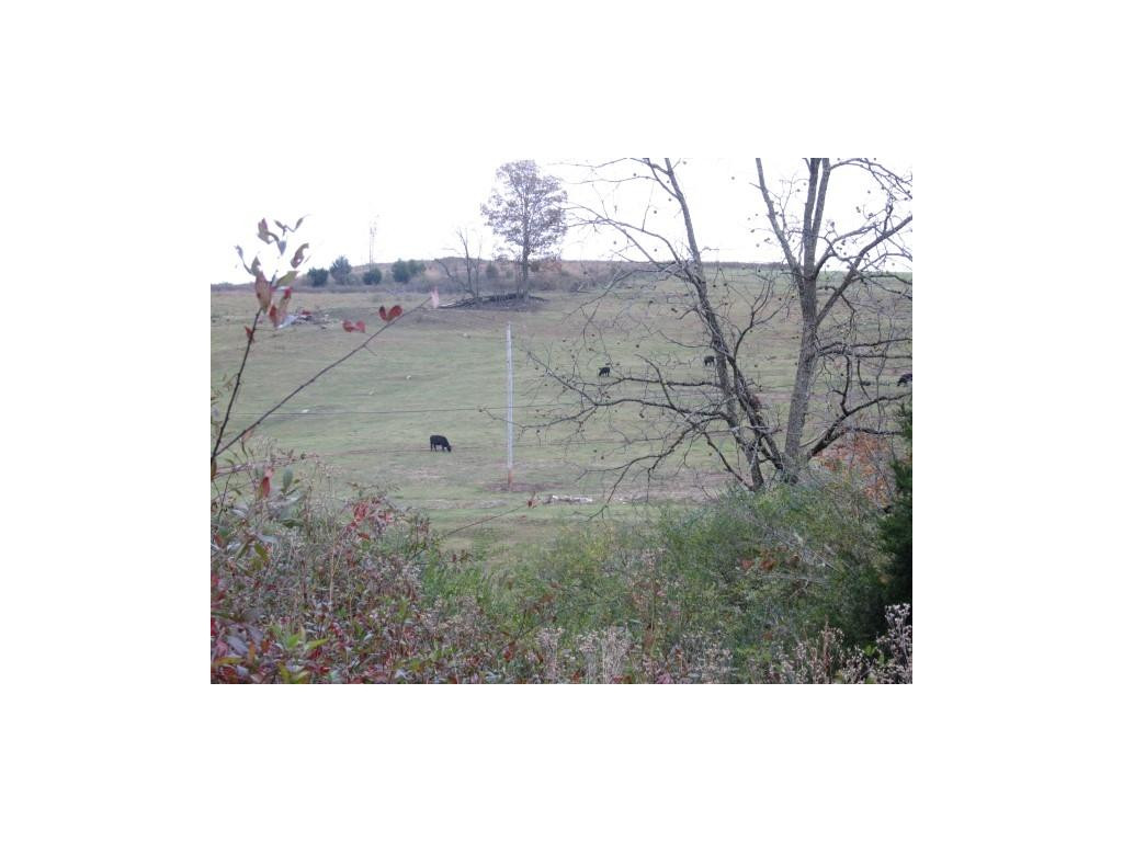 34-ac Chestnut Ridge Road Sneedville, TN 37869 - Photo 4 of 12 Photo 4