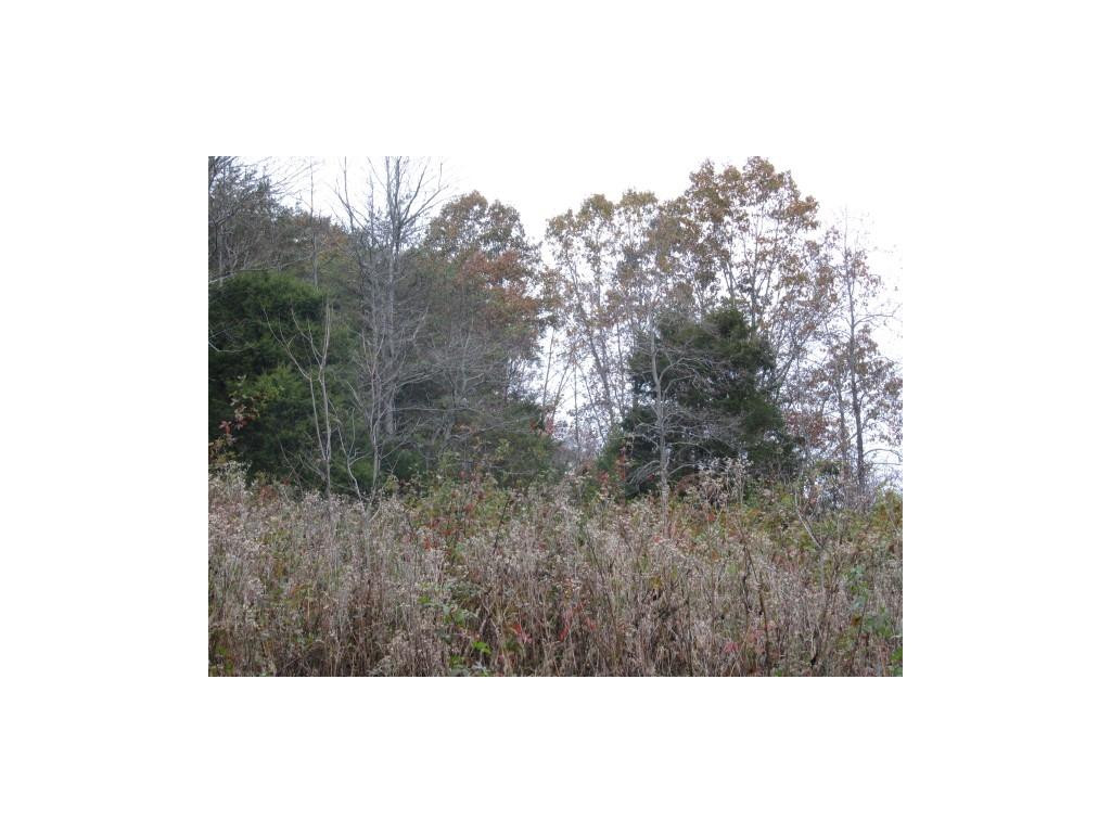 34-ac Chestnut Ridge Road Sneedville, TN 37869 - Photo 5 of 12 Photo 5