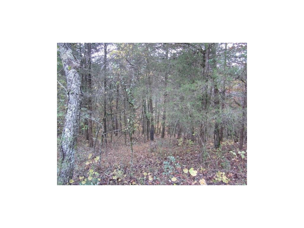 34-ac Chestnut Ridge Road Sneedville, TN 37869 - Photo 6 of 12 Photo 6