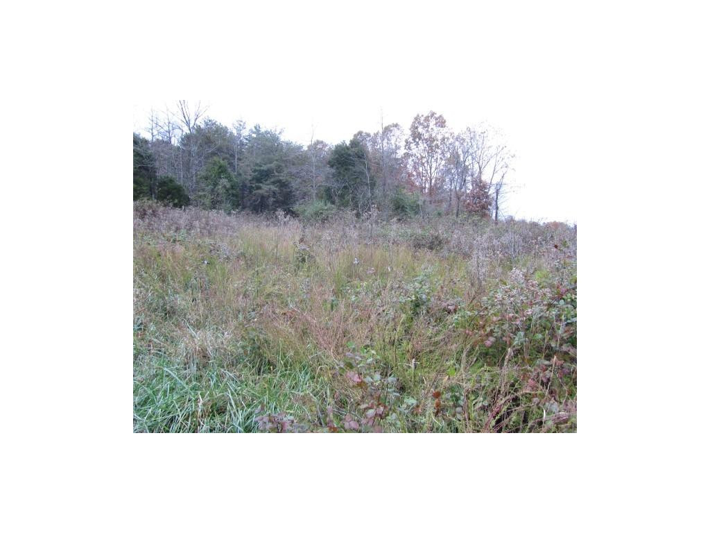 34-ac Chestnut Ridge Road Sneedville, TN 37869 - Photo 7 of 12 Photo 7