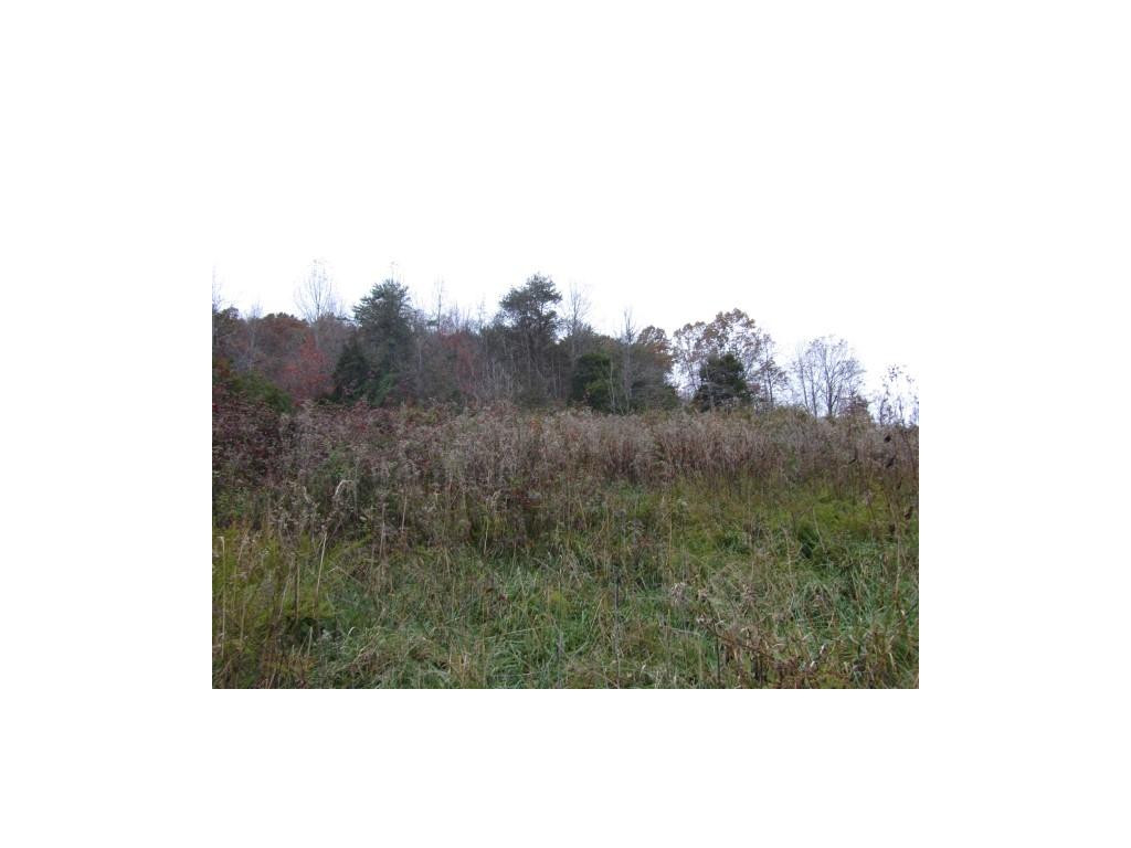 34-ac Chestnut Ridge Road Sneedville, TN 37869 - Photo 8 of 12 Photo 8