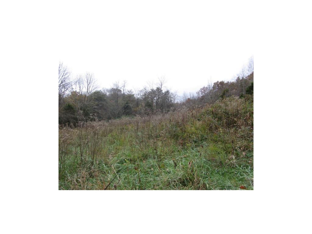 34-ac Chestnut Ridge Road Sneedville, TN 37869 - Photo 9 of 12 Photo 9