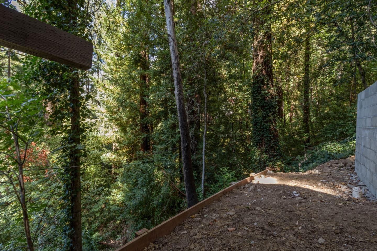 320 Fireside Road Boulder Creek, CA 95006 - Photo 33 of 36 a view of a forest with trees in front of it