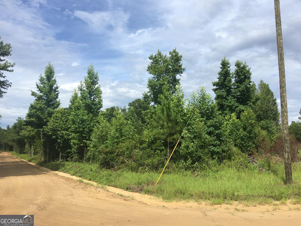 0 Toliver Schell Road, Unit TRACT 2 Hazlehurst, GA 31539 - Photo 1 of 1 Main View