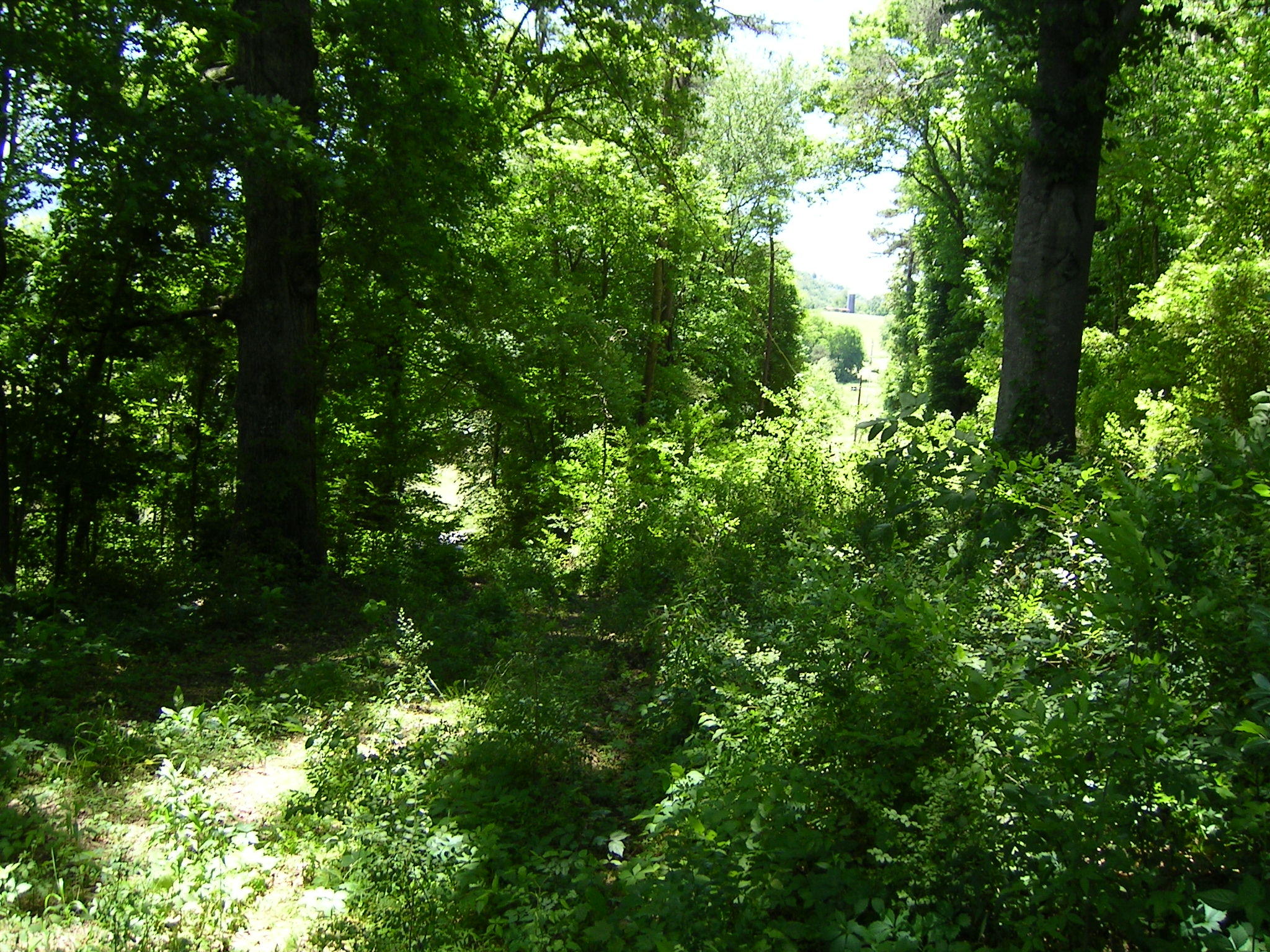 700 Davis Cemetery Road Dunlap, TN 37327 - Photo 1 of 2 Davis Cementary