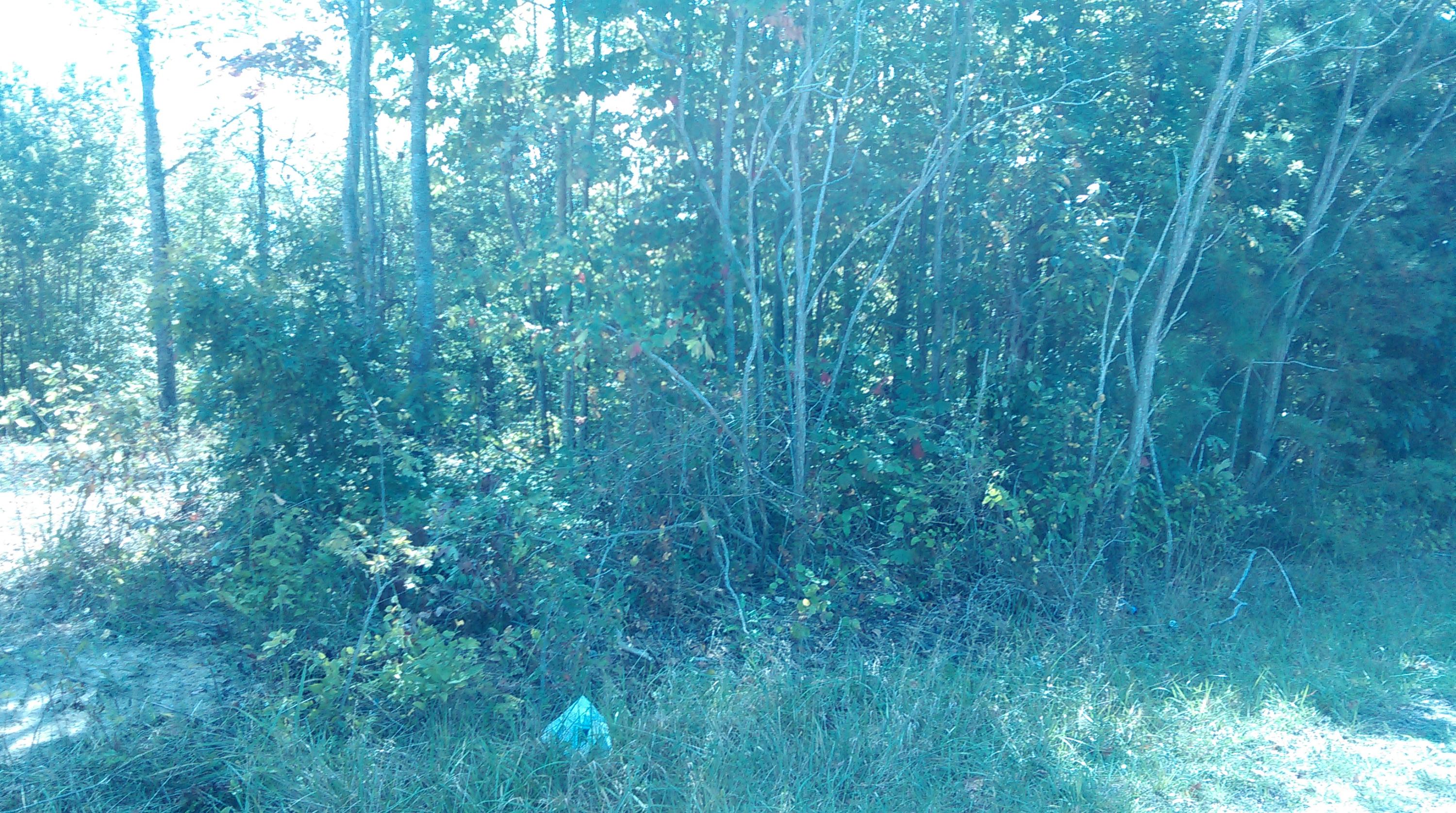 700 Davis Cemetery Road Dunlap, TN 37327 - Photo 2 of 2 IMAG0259