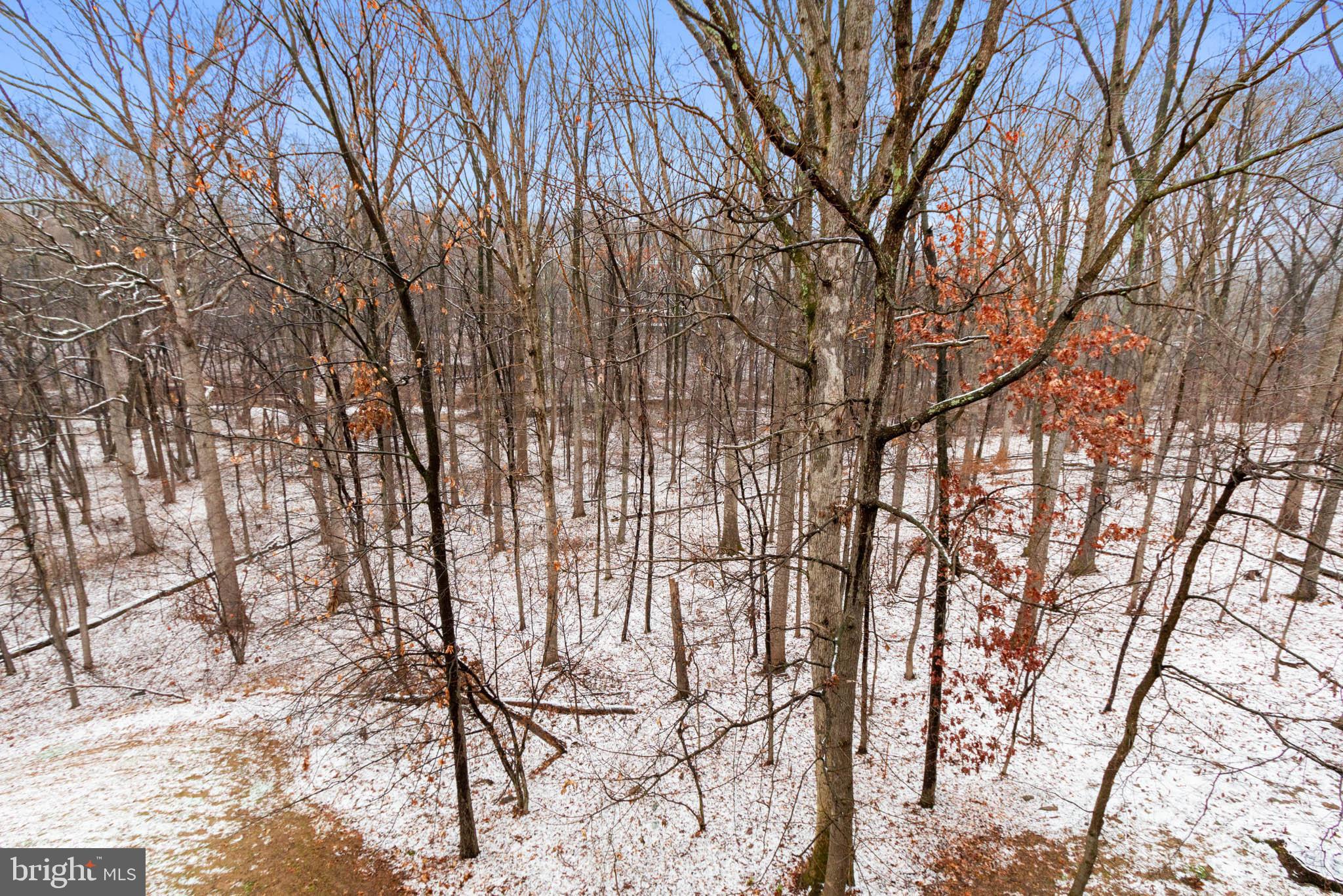 137 Timberbrook Lane, Unit 303 Gaithersburg, MD 20878 - Photo 25 of 30