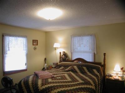 10717 West Pakes Road Gowen, MI 49326 - Photo 5 of 6 Additional Photo