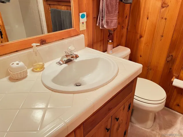 a bathroom with a sink and a toilet