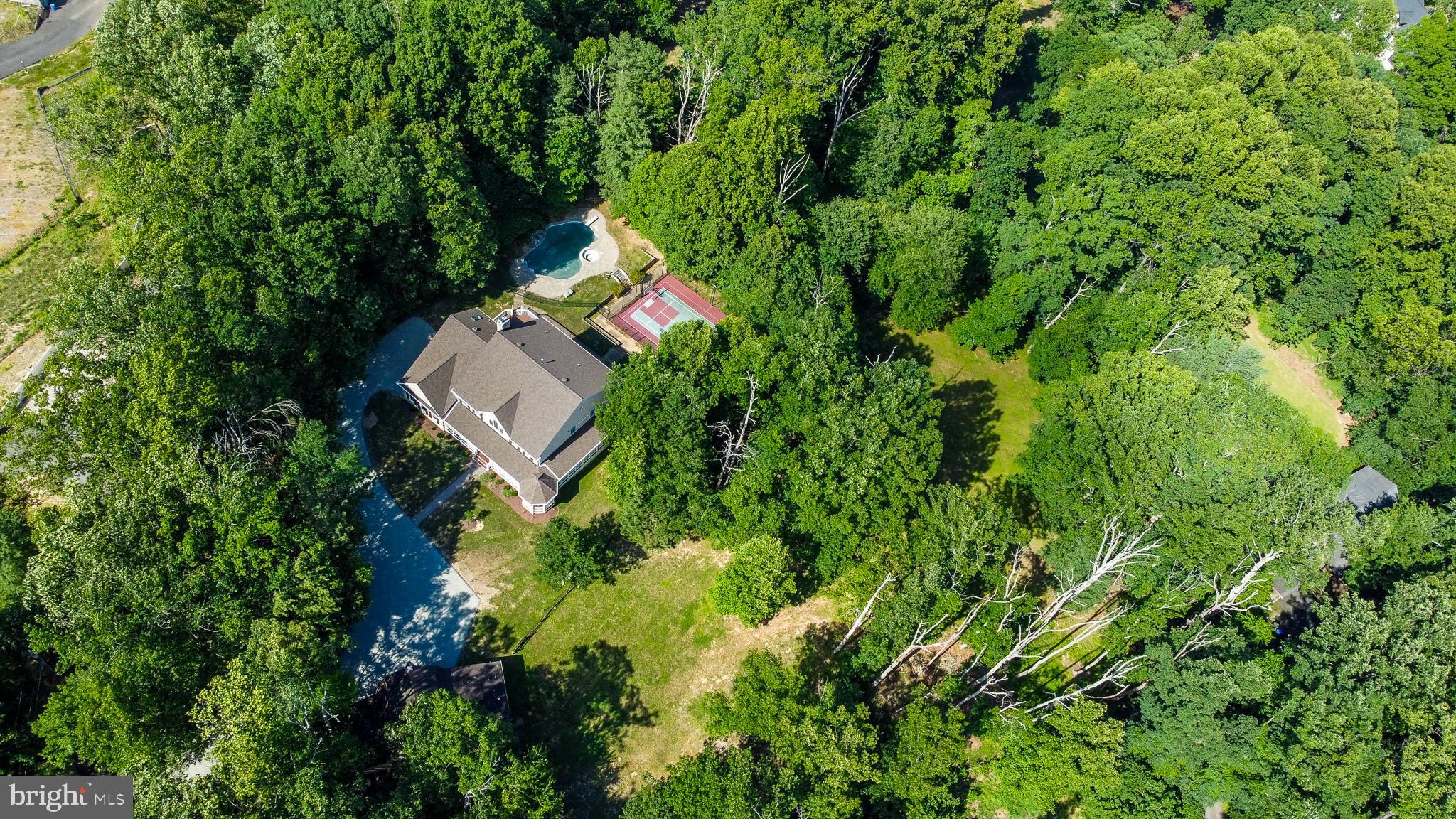813 Blacks Hill Road Great Falls, VA 22066 - Photo 15 of 92 3-Acre Estate