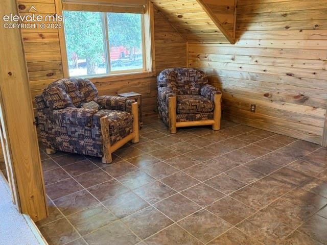 269 Southpark Road Florissant, CO 80816 - Photo 8 of 37