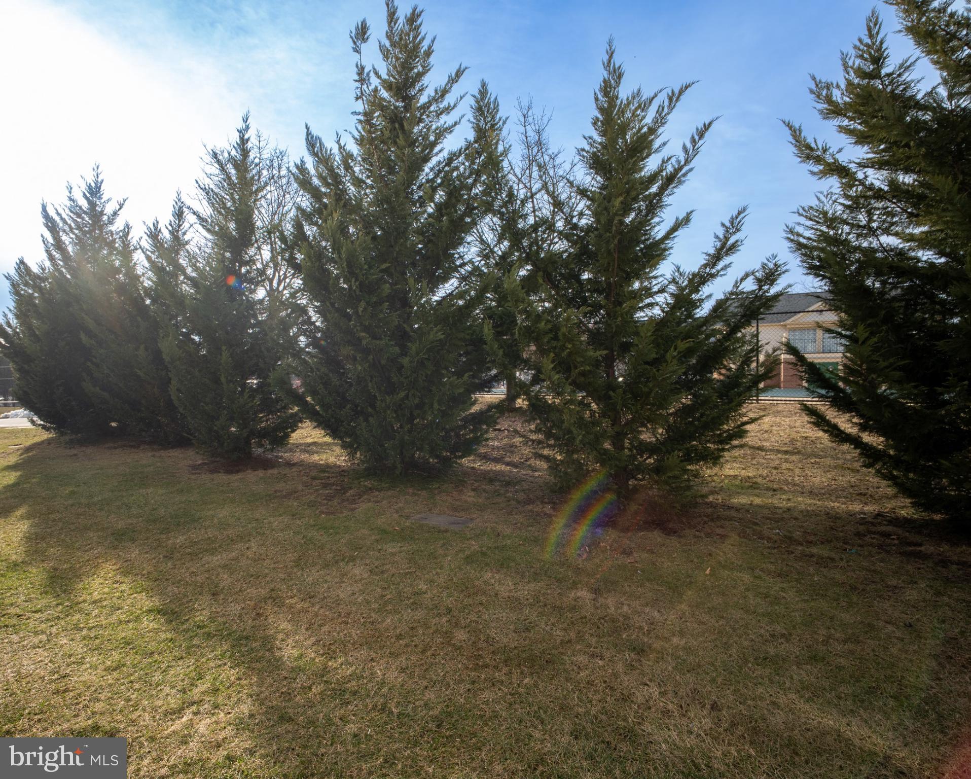 107 Fort Evans Road Southeast, Unit B Leesburg, VA 20176 - Photo 17 of 21 a view of road and trees