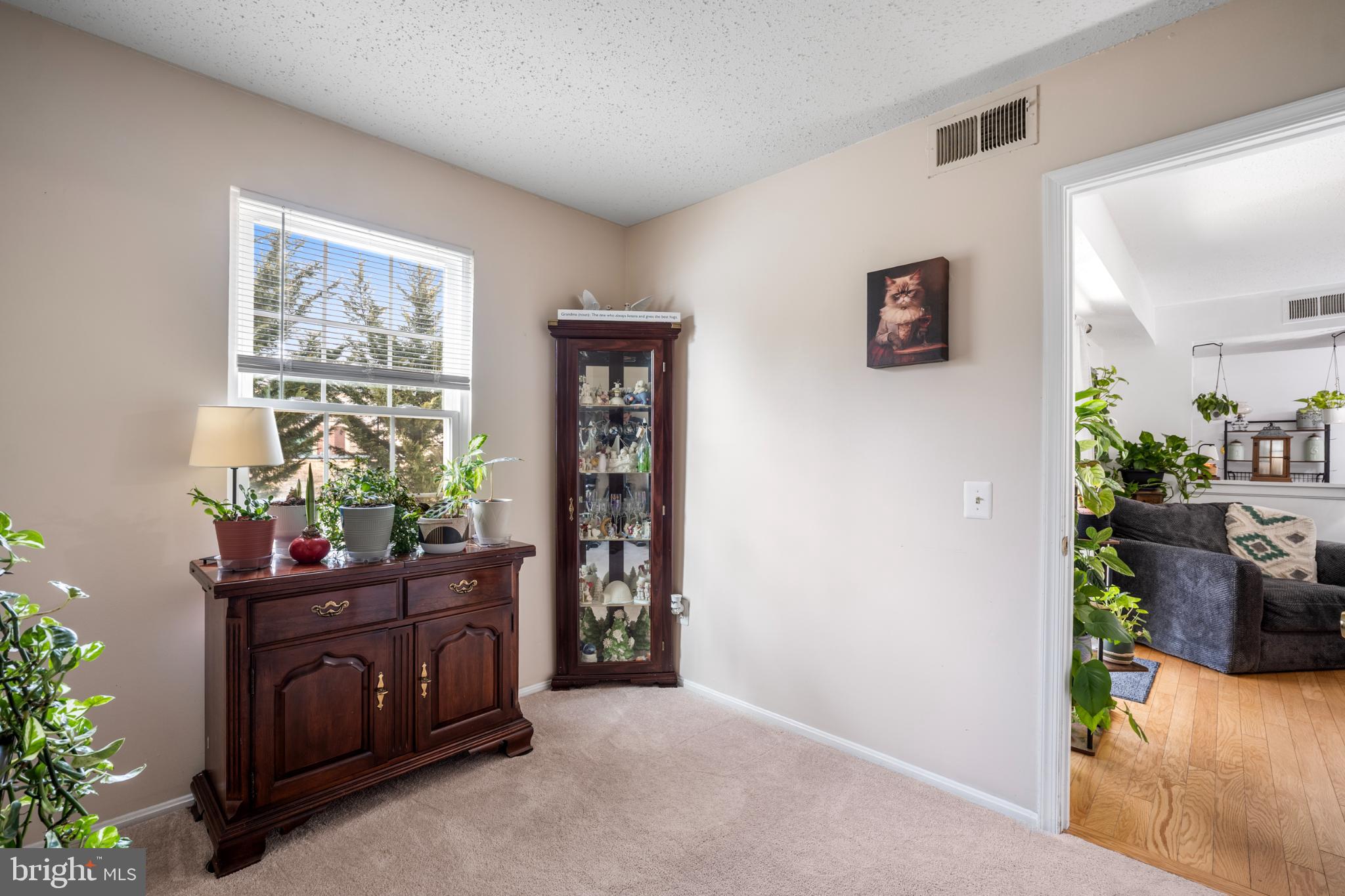 107 Fort Evans Road Southeast, Unit B Leesburg, VA 20176 - Photo 6 of 21 a living room with furniture and potted plant