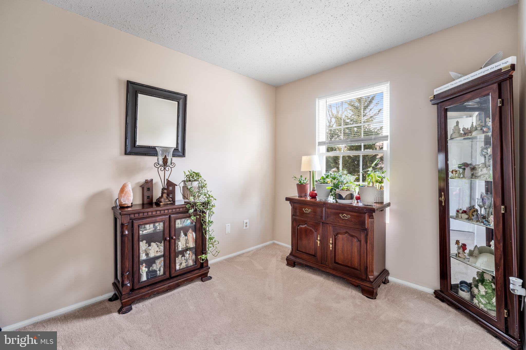107 Fort Evans Road Southeast, Unit B Leesburg, VA 20176 - Photo 7 of 21 a living room with furniture and a potted plant